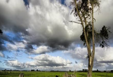 皇马与巴萨的历史交战记录里，藏着哪些关键看点？